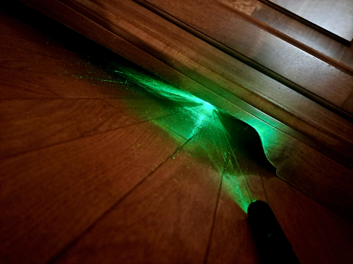 LASER VERDE (anche a uso TORCIA)