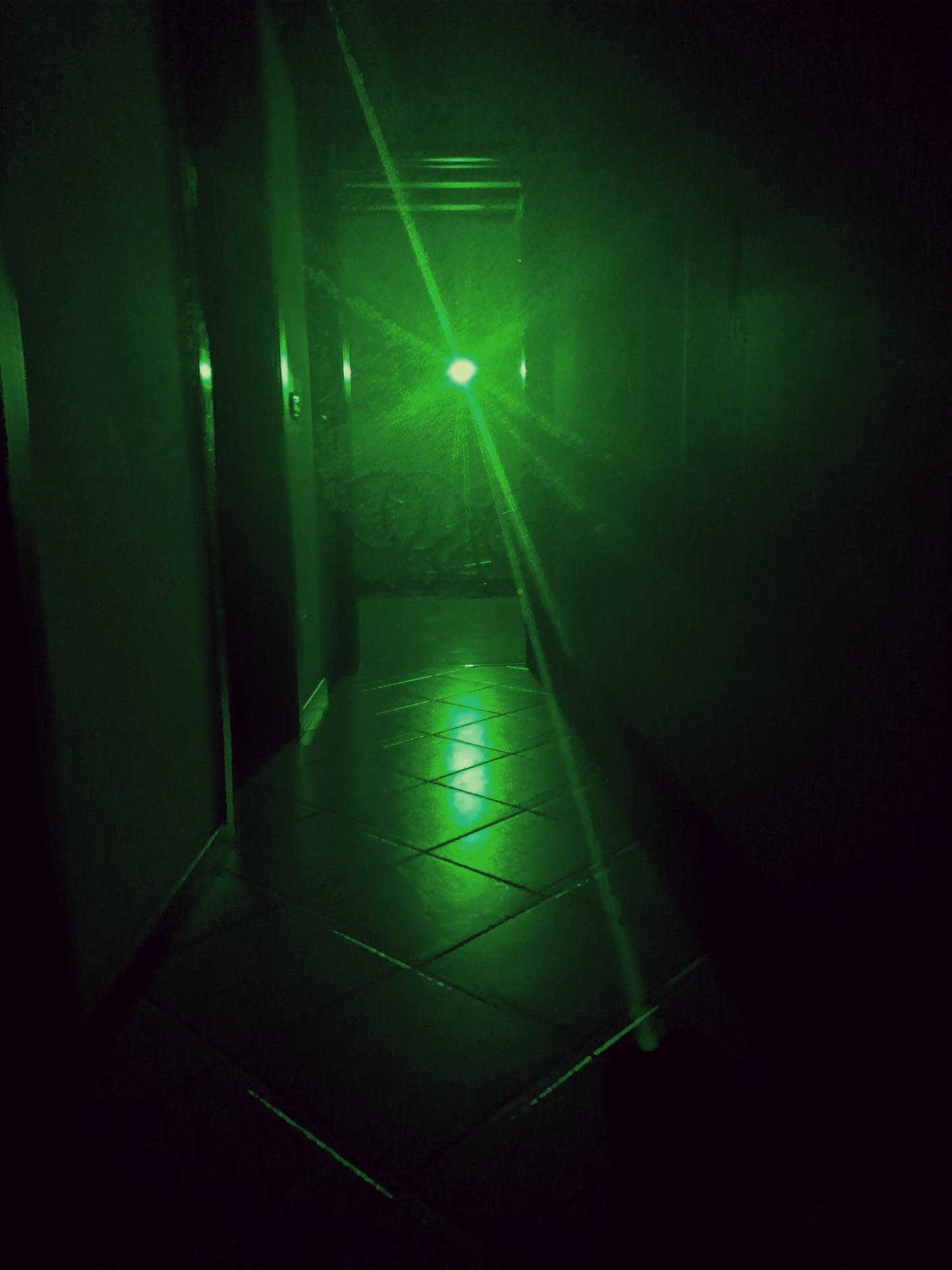 LASER VERDE (anche a uso TORCIA)